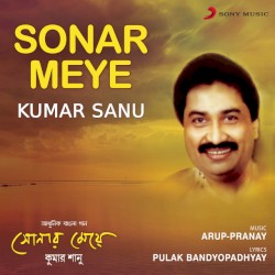 Sonar Meye