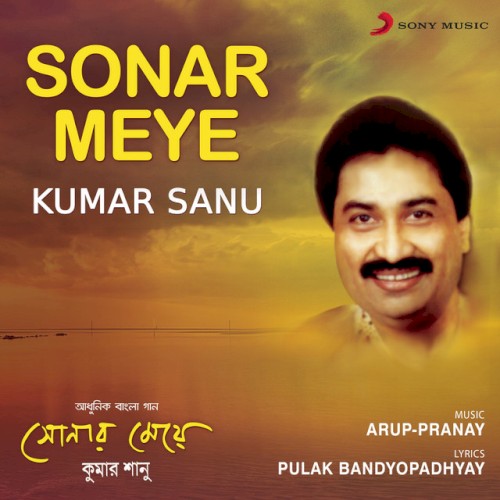 Sonar Meye