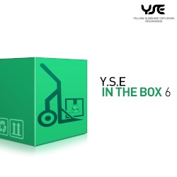 Y.S.E. in the Box, Vol. 6