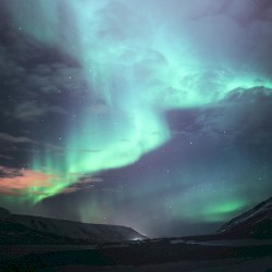 Aurora