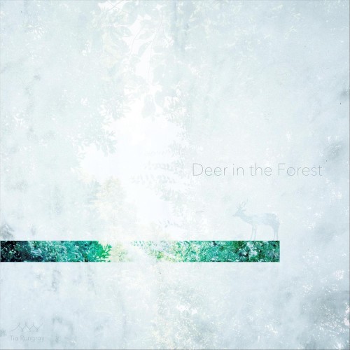 Deer in the Forest