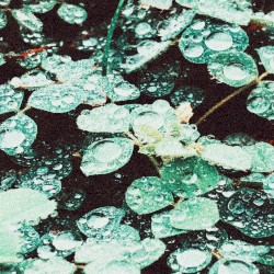 Rain Chamber
