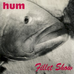 Fillet Show