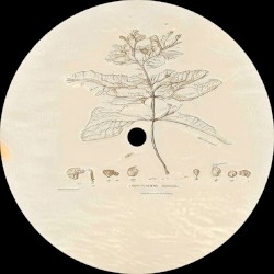Id Sar EP