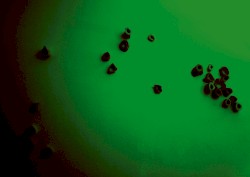 Alchimie des Entropies