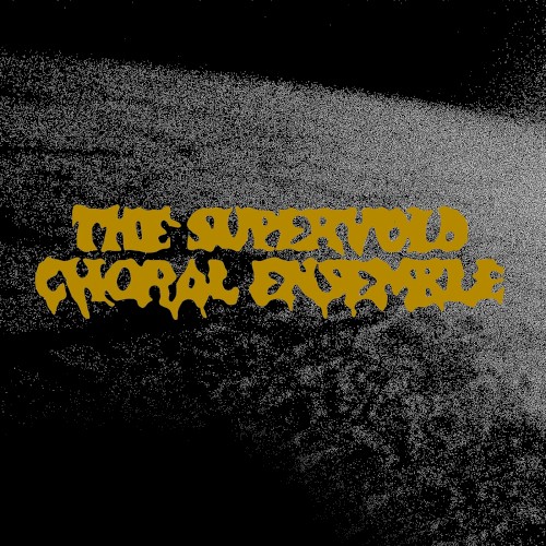 The Supervoid Choral Ensemble