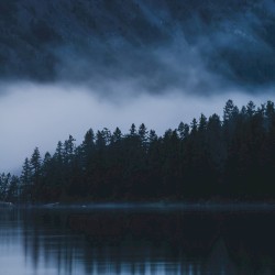 Shadows In Blue