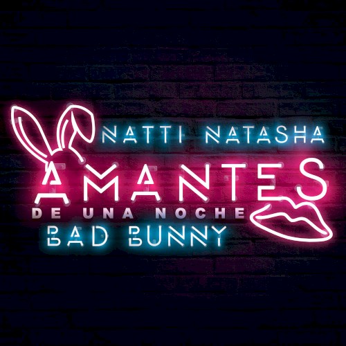 Amantes de una noche