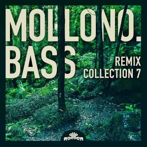 Mollono.Bass Remix Collection 7