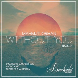 Without You