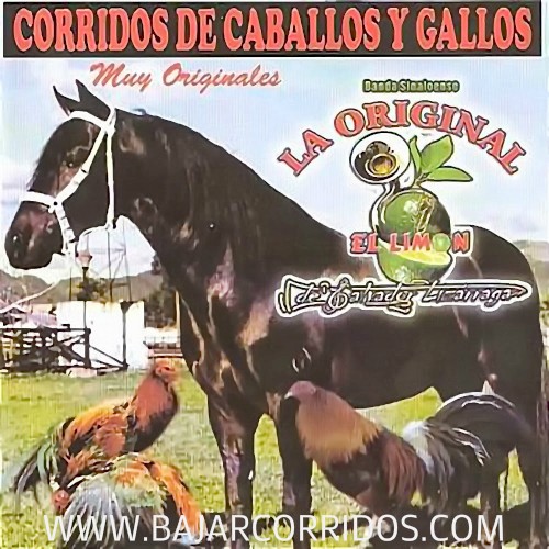 Corridos de caballos y gallos