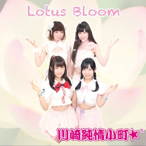 Lotus Bloom