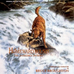 Homeward Bound: The Incredible Journey