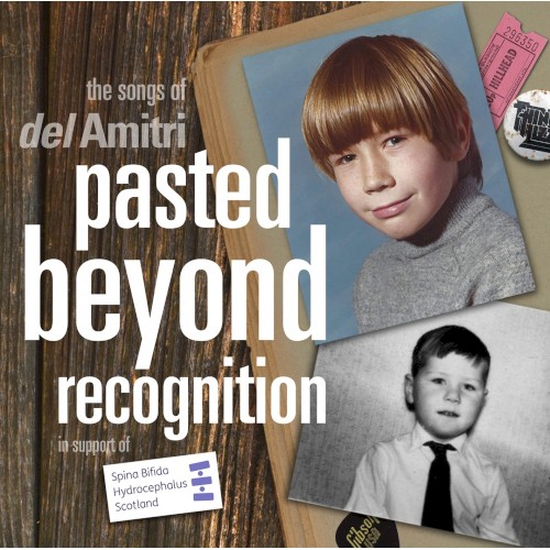 The Songs of del Amitri: Pasted Beyond Recognition