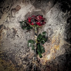 Valentine / Breakdown