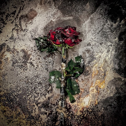 Valentine / Breakdown