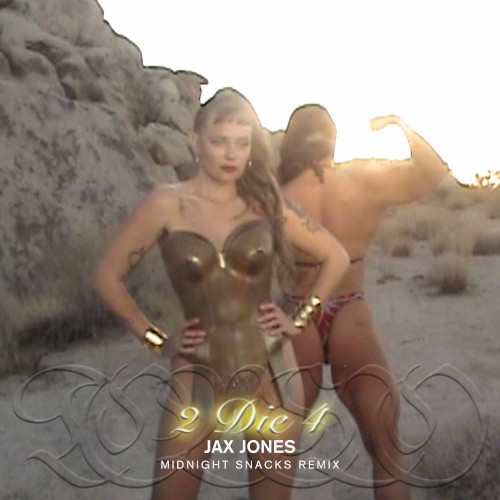2 Die 4 (Jax Jones Midnight Snacks remix)