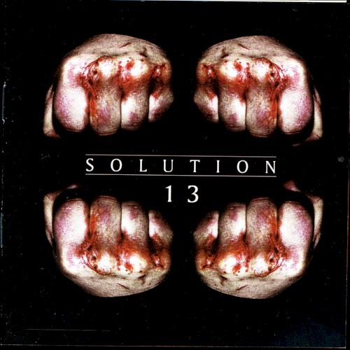 Solution 13