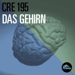 CRE195 Das Gehirn