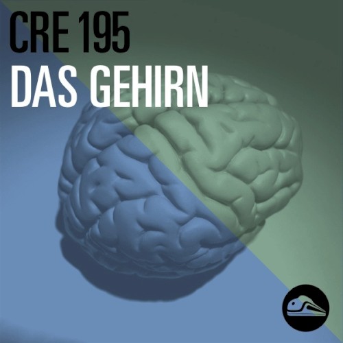 CRE195 Das Gehirn