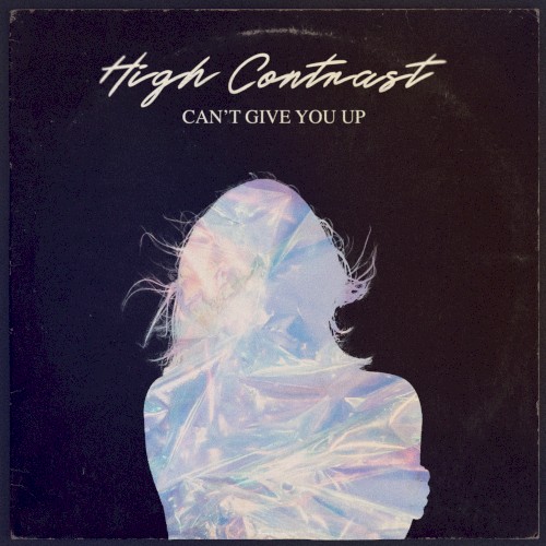 Can't Give You Up