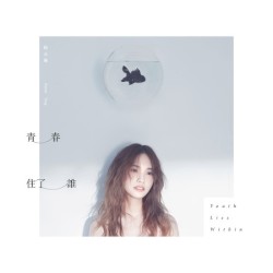 青春住了谁