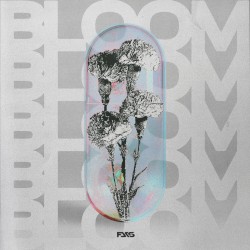 Bloom
