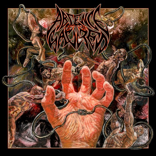 IV: The Hand That Wounds