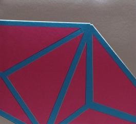 Primary Structures