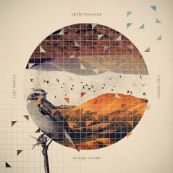 Anthropocene