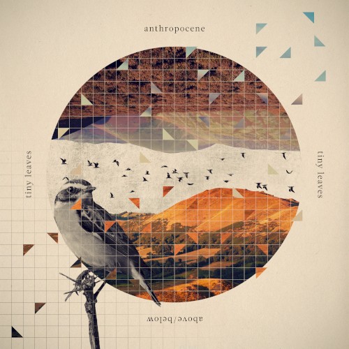 Anthropocene