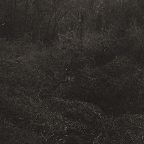 transient