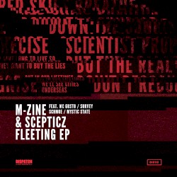 Fleeting EP
