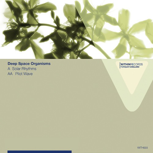 Solar Rhythms / Pilot Wave