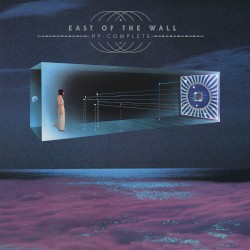 NP-Complete