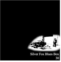 Silver Fox Blues Box 30