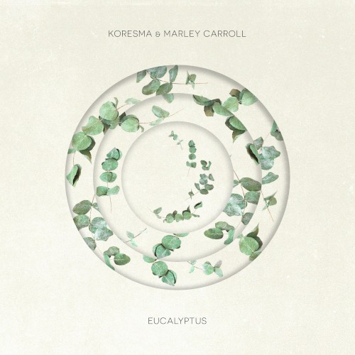 Eucalyptus