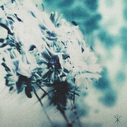 Death of Me
