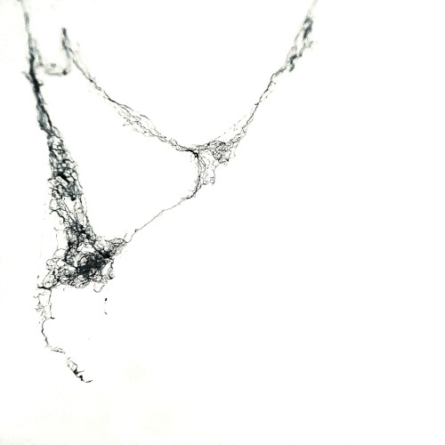 Suture