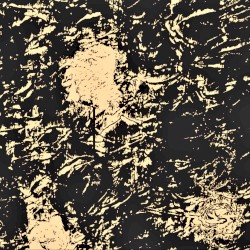 Schizofrantic