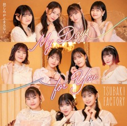 My Days for You / 悲しみがとまらない