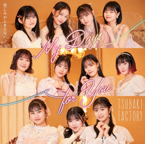 My Days for You / 悲しみがとまらない