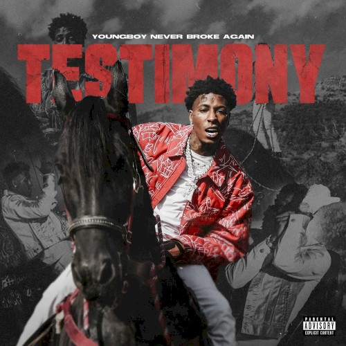 Testimony