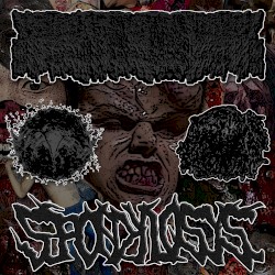 4 Way Gorenoise