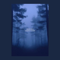Unspoken Currents