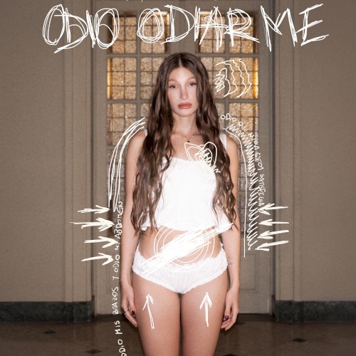 Odio Odiarme