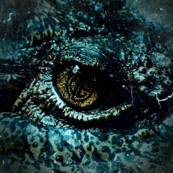 Eyeball