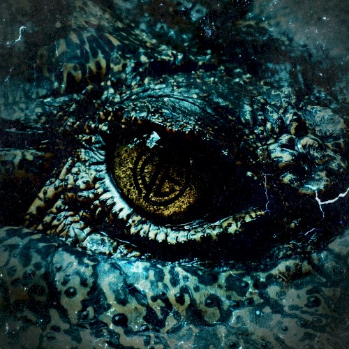 Eyeball