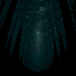 Eternal Canopy