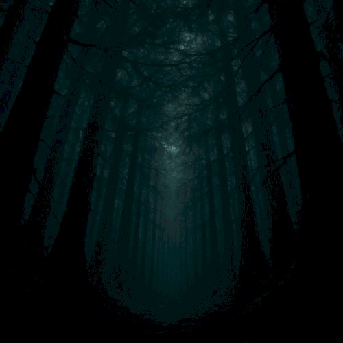 Eternal Canopy